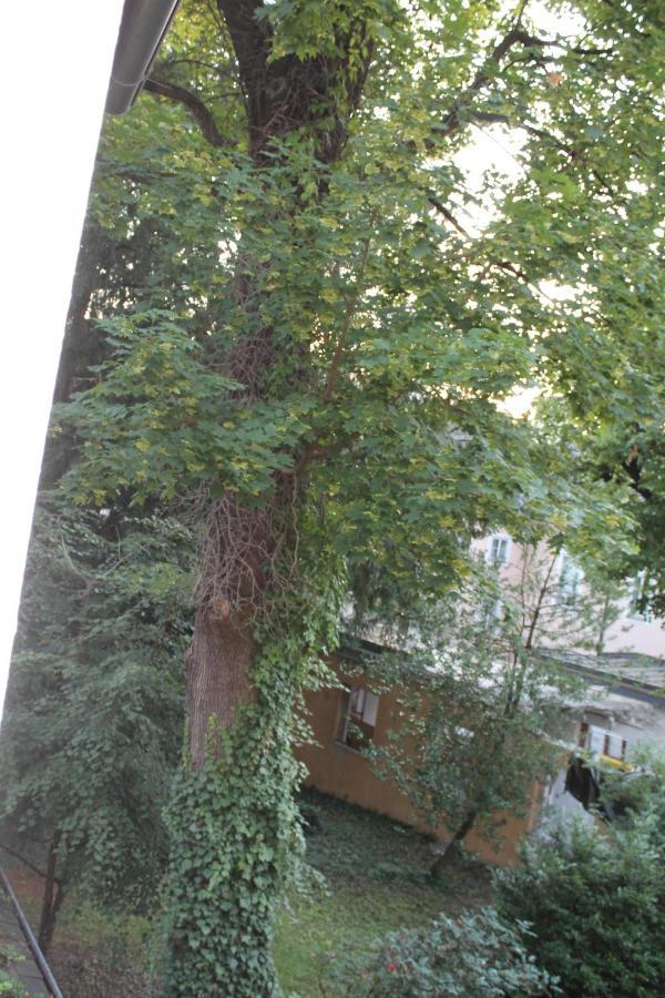 Mozart'S Garden Villa 萨尔茨堡 外观 照片
